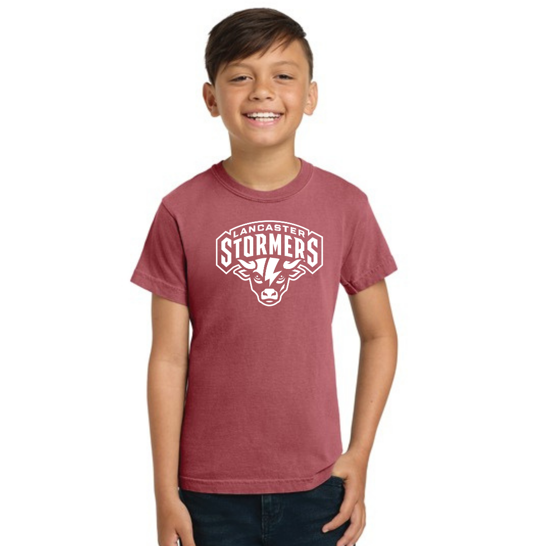 Youth Distressed Bull Logo Comfort Colors Tee