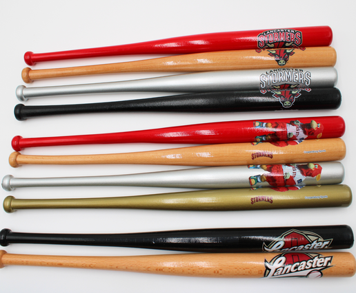 Mini Bat Barnstormers Logo