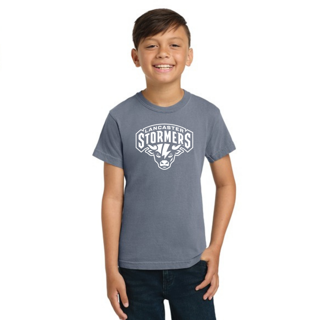 Youth Distressed Bull Logo Comfort Colors Tee