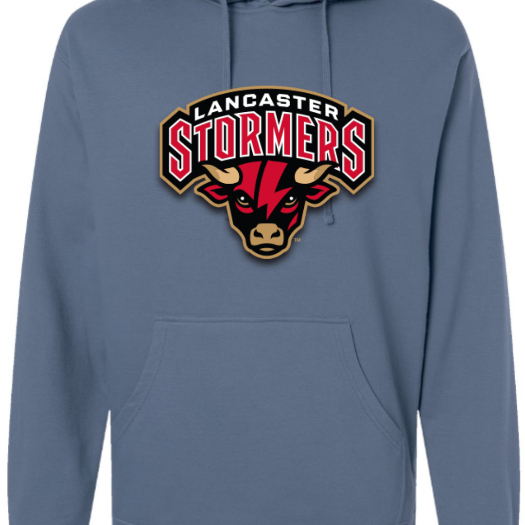 Primary Bull Logo Hoodie