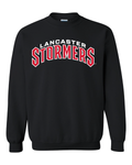 Stormers Wordmark Crewneck Sweatshirt