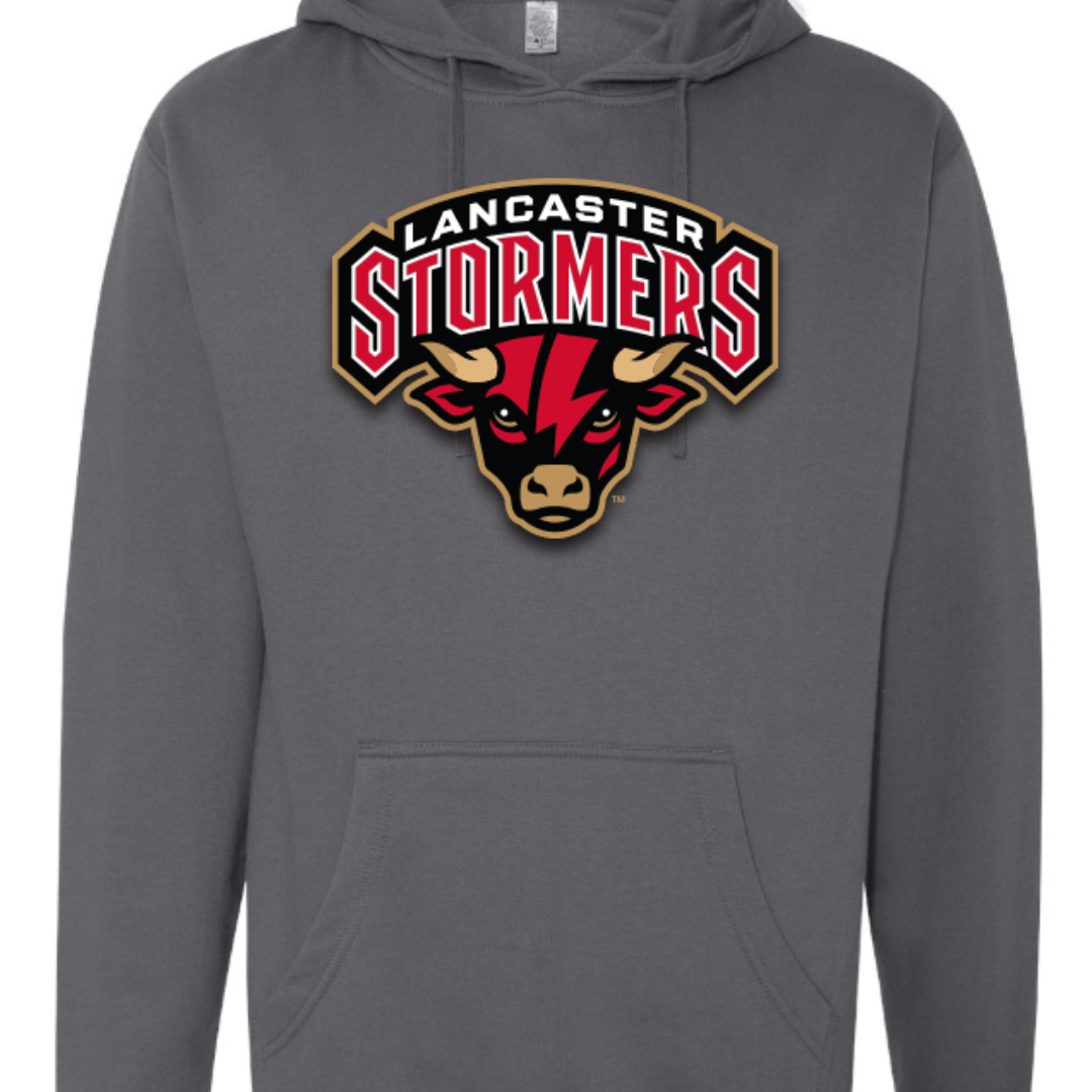 Primary Bull Logo Hoodie