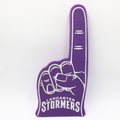 Stormers Foam Fingers